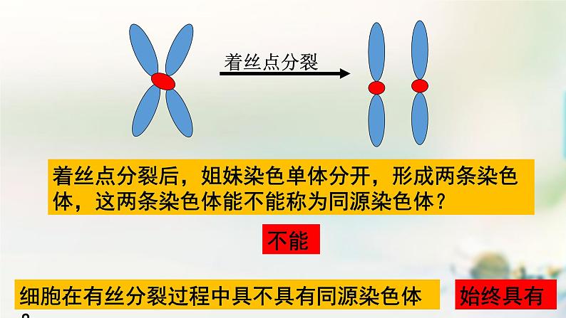 2.1受精作用课件PPT第2页