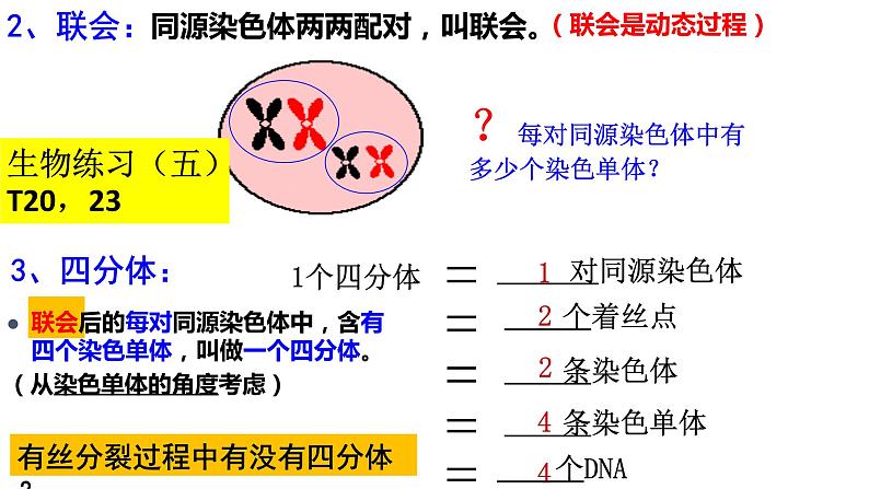 2.1受精作用课件PPT第3页