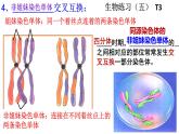 2.1受精作用课件PPT