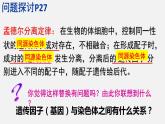 2.2 基因在染色体上课件PPT
