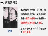 2.2 基因在染色体上课件PPT