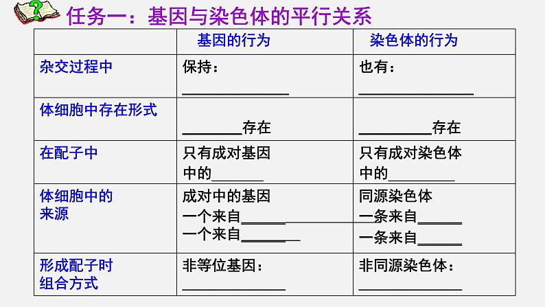 2.2 基因在染色体上课件PPT03