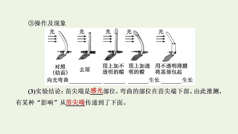 2022年新教材高中生物第五章植物生命活动的调节第一节生长素的发现开启了人类对植物激素调节的探索课件浙科版选择性必修1第5页