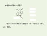 2022年新教材高中生物第二章神经调节第三节人体通过神经调节对刺激做出反应课件浙科版选择性必修1