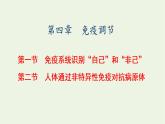2022年新教材高中生物第四章免疫调节第一节免疫系统识别“自己”和“非己”第二节人体通过非特异性免疫对抗病原体课件浙科版选择性必修1