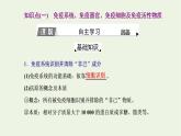 2022年新教材高中生物第四章免疫调节第一节免疫系统识别“自己”和“非己”第二节人体通过非特异性免疫对抗病原体课件浙科版选择性必修1