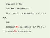 2022年新教材高中生物第四章免疫调节第一节免疫系统识别“自己”和“非己”第二节人体通过非特异性免疫对抗病原体课件浙科版选择性必修1