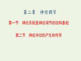 2022年新教材高中生物第二章神经调节第一节神经系统是神经调节的结构基础第二节神经冲动的产生和传导课件浙科版选择性必修1