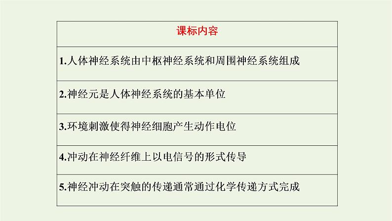 2022年新教材高中生物第二章神经调节第一节神经系统是神经调节的结构基础第二节神经冲动的产生和传导课件浙科版选择性必修102