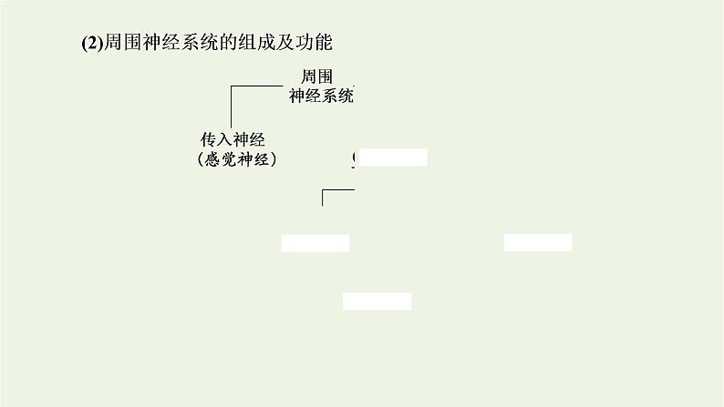 2022年新教材高中生物第二章神经调节第一节神经系统是神经调节的结构基础第二节神经冲动的产生和传导课件浙科版选择性必修105