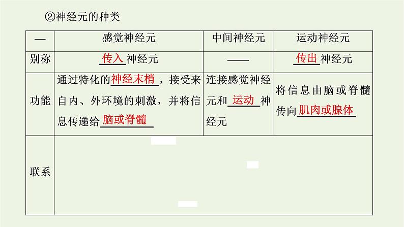 2022年新教材高中生物第二章神经调节第一节神经系统是神经调节的结构基础第二节神经冲动的产生和传导课件浙科版选择性必修107