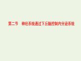 2022年新教材高中生物第三章体液调节第二节神经系统通过下丘脑控制内分泌系统课件浙科版选择性必修1