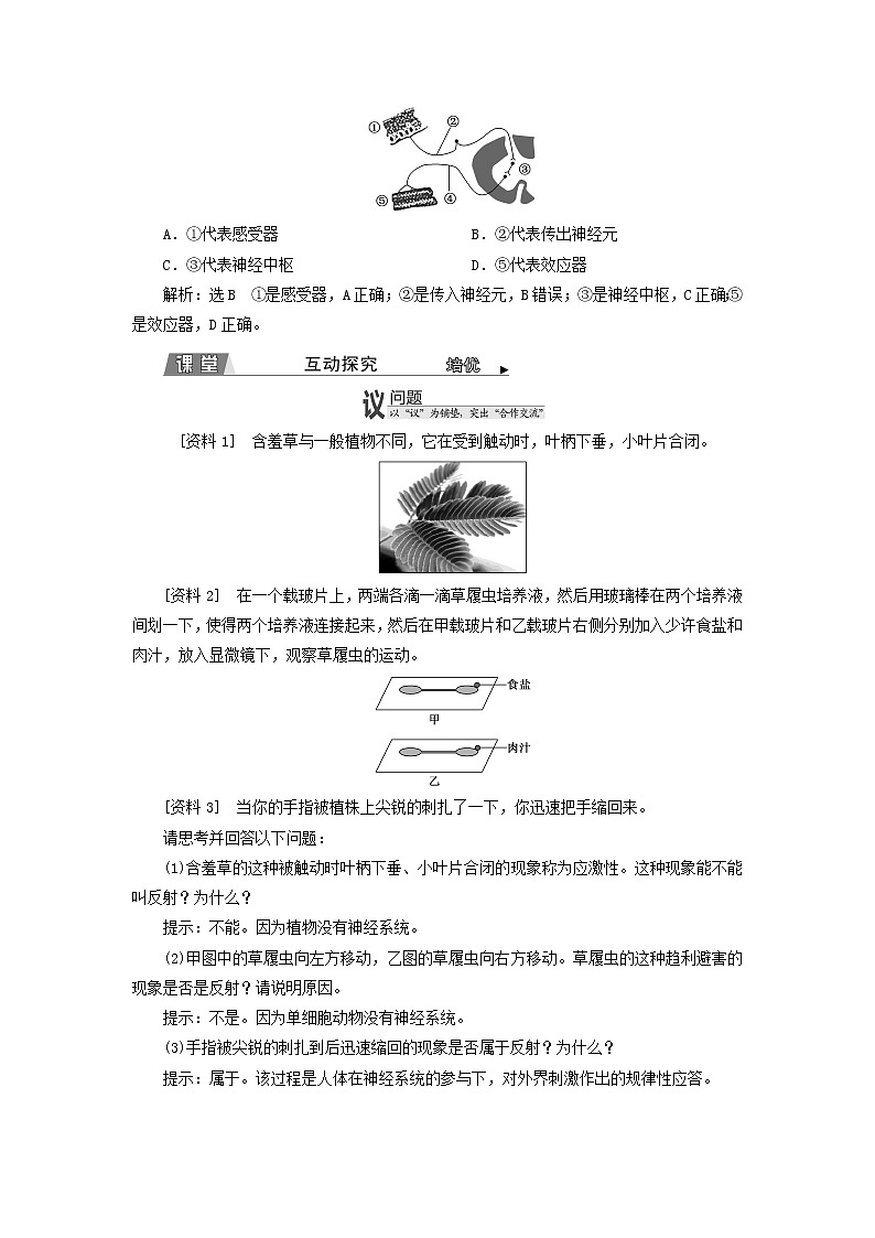 2022年新教材高中生物第二章神经调节第三节人体通过神经调节对刺激做出反应学案浙科版选择性必修103