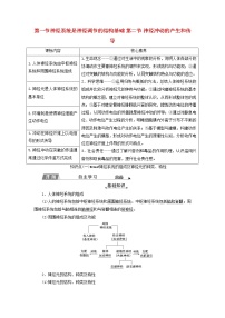 高中生物浙科版 (2019)选择性必修1 稳态与调节第一节  神经系统是神经调节的结构基础学案