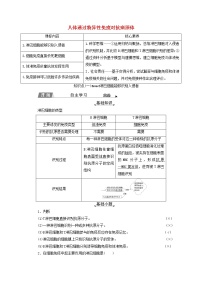 高中生物浙科版 (2019)选择性必修1 稳态与调节第四章  免疫调节第三节  人体通过特异性免疫对抗病原体学案及答案