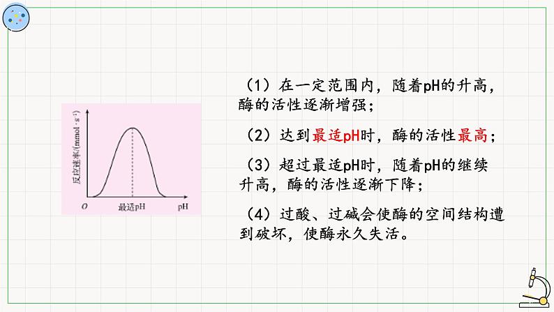 4.1.3环境因素对酶活性的影响-课件第7页