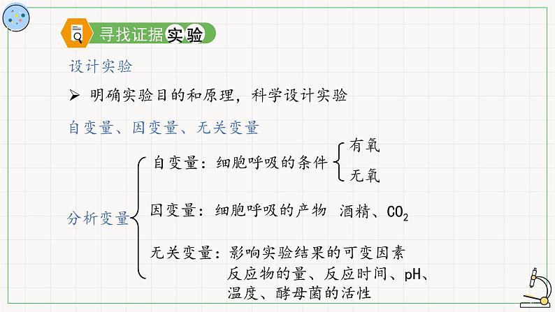 4.3.1细胞呼吸的类型-课件06