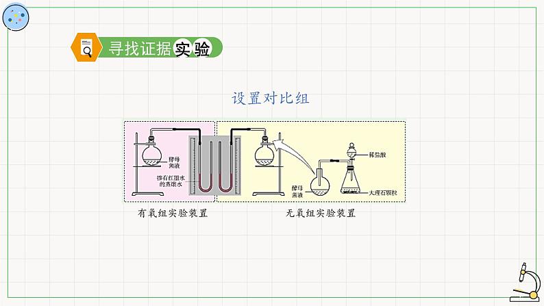 4.3.1细胞呼吸的类型-课件07