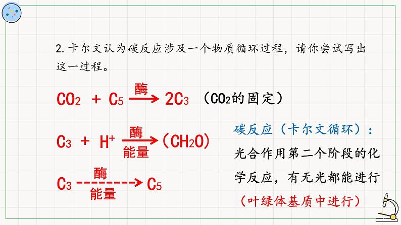 4.4.2碳反应-课件第5页