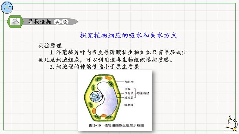 2.1.2物质进出细胞的方式-课件第3页