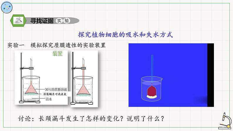 2.1.2物质进出细胞的方式-课件第4页