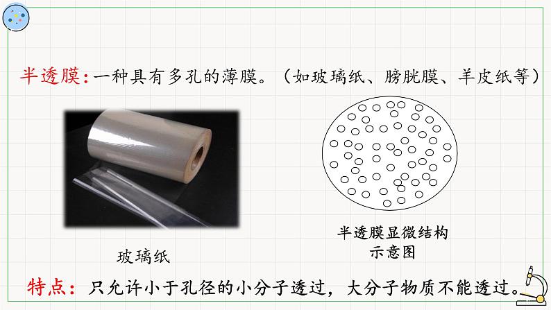 2.1.2物质进出细胞的方式-课件第5页