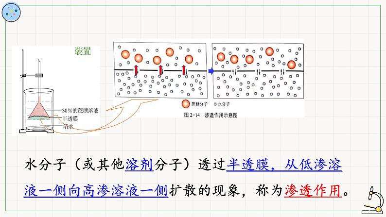 2.1.2物质进出细胞的方式-课件第6页