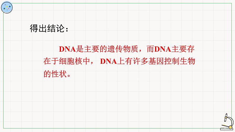 2.2.3细胞核-课件第7页