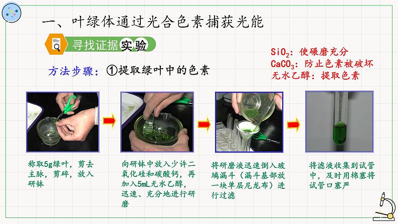 4.4.1光反应-课件05