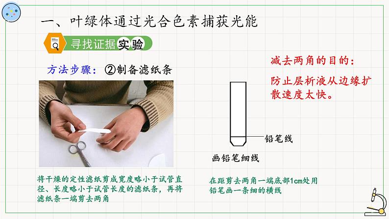 4.4.1光反应-课件06