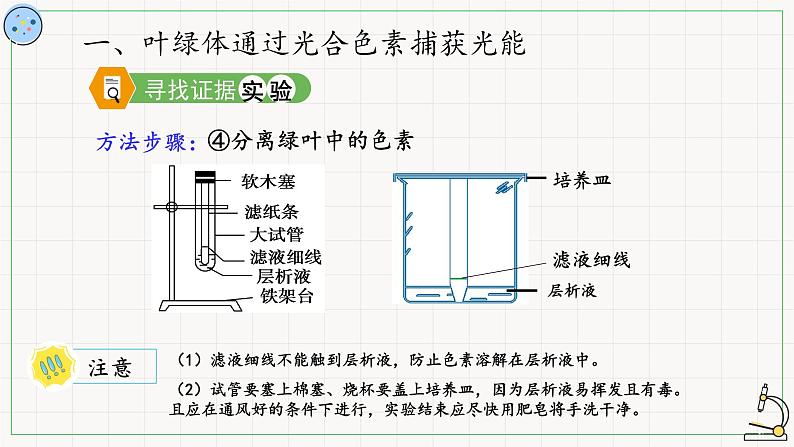 4.4.1光反应-课件08