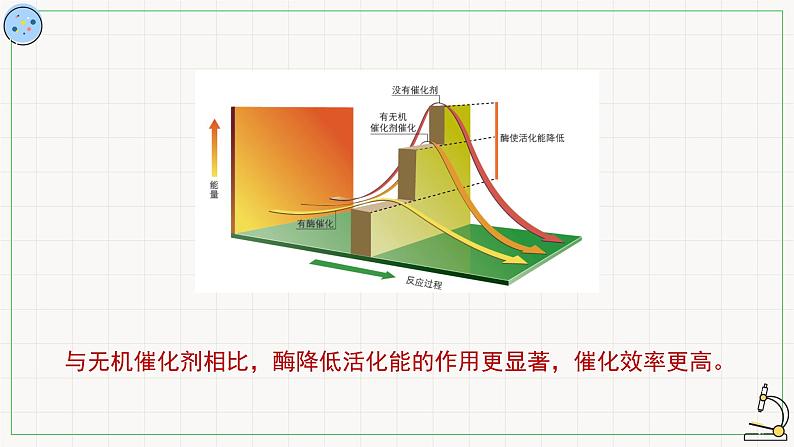 4.1.2酶的特性-课件第7页