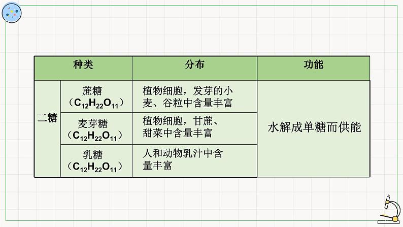 3.2糖类与脂质-课件08