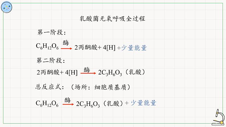 4.3.2细胞呼吸的过程-课件第7页