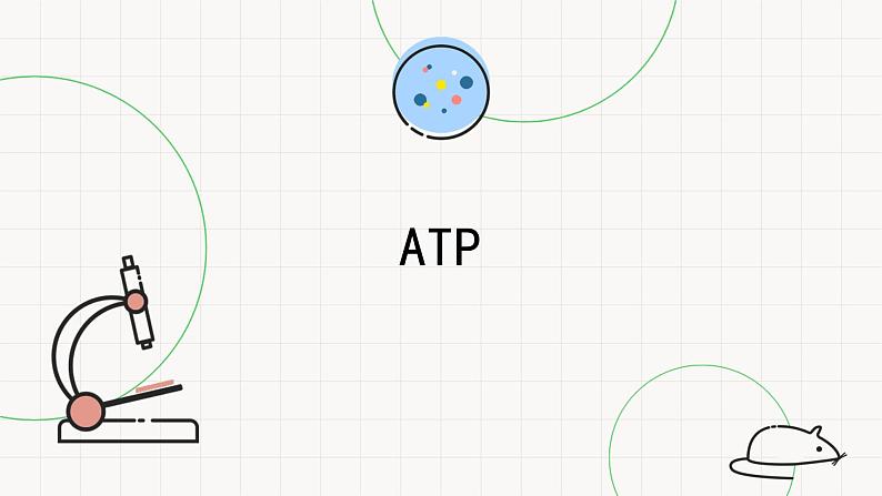 4.2ATP-课件第1页