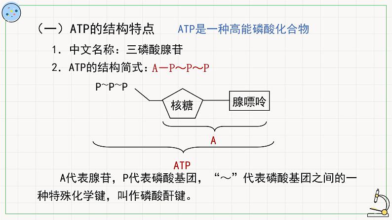 4.2ATP-课件第5页