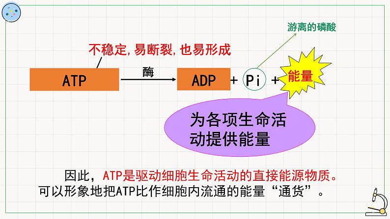 4.2ATP-课件第8页