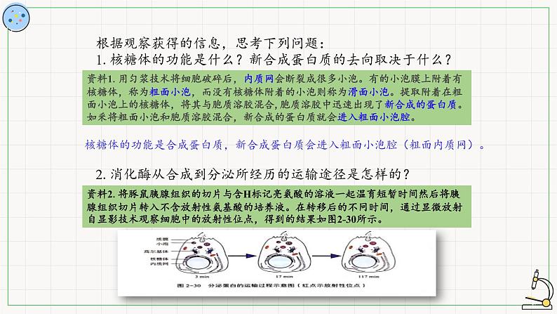 2.2.2其他细胞器-课件第4页