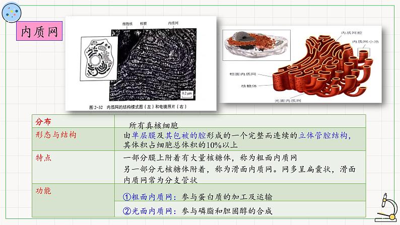 2.2.2其他细胞器-课件第8页