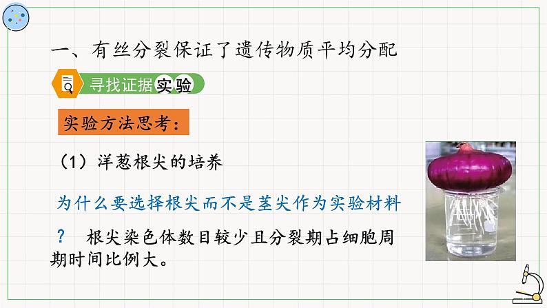 5.1.2细胞的分裂-课件第3页