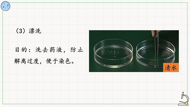 5.1.2细胞的分裂-课件第5页