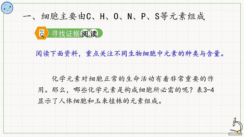 3.5元素与生物大分子-课件第3页