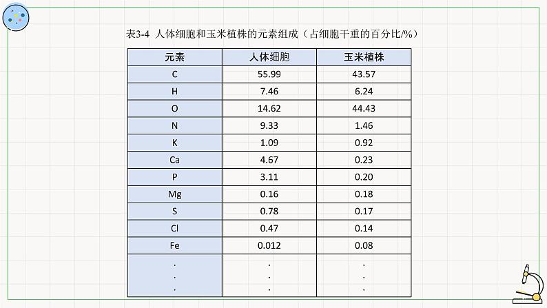 3.5元素与生物大分子-课件第4页