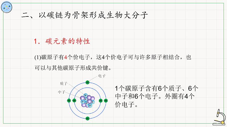 3.5元素与生物大分子-课件第6页