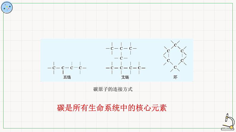 3.5元素与生物大分子-课件第8页