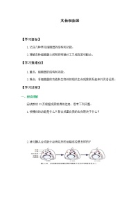 北师大版 (2019)必修1《分子与细胞》二 其他细胞器导学案