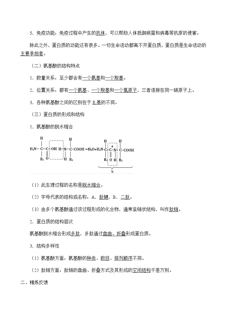 3.3蛋白质-学案第2页