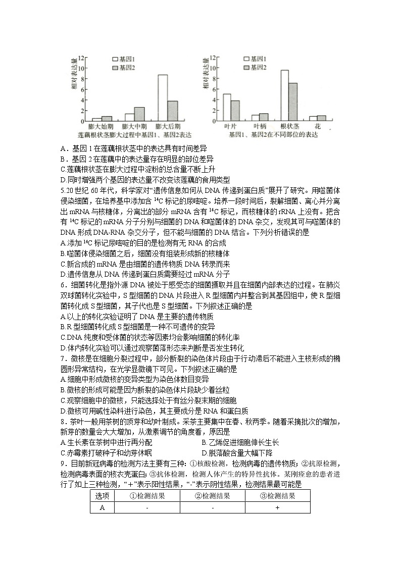 2022届湖北省武汉市高中毕业生四月调研考试生物试题 word第2页