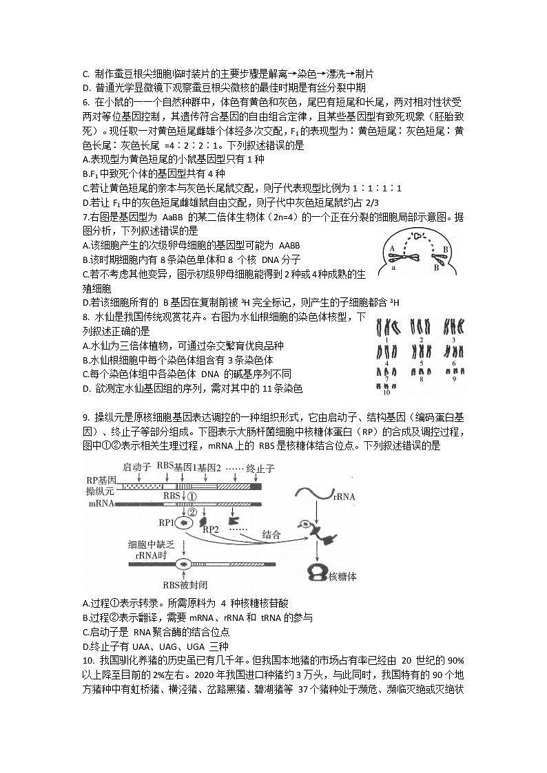 2022届广东省普通高等学校招生全国统一考试模拟检测（二） 生物试题及答案02