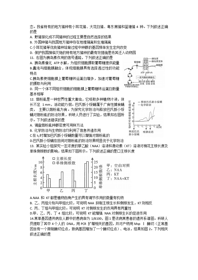 2022届广东省普通高等学校招生全国统一考试模拟检测（二） 生物试题及答案03